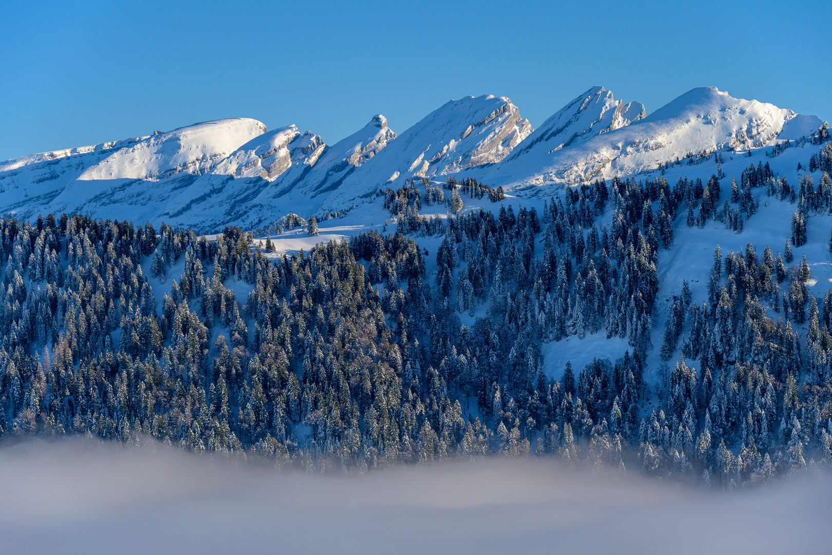 Churfirsten im Nachmittagslicht - Blick vom Tanzboden