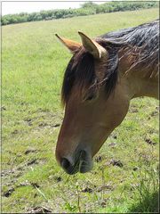 ..Chut, je mange!!!!