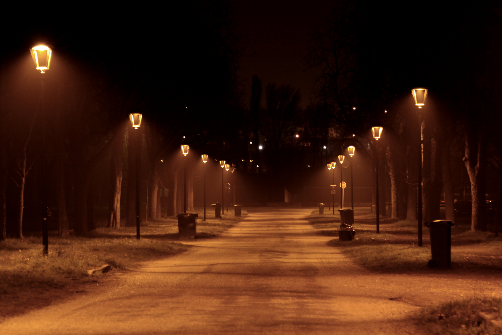 Chut !! la nuit les poubelles sont grises