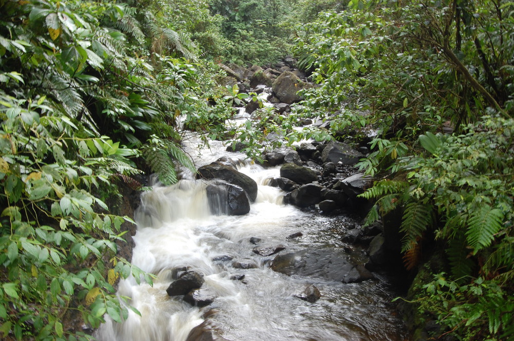 Chutes du carbet (Guadeloupe)