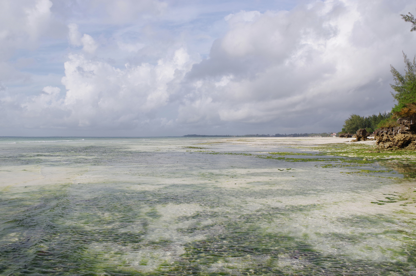 Chwaka Bay bei Ebbe