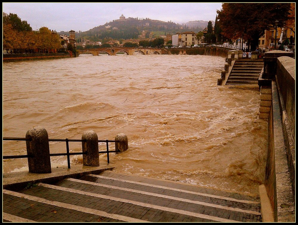 Ci risiamo..oggi 7 novembre 2014..1