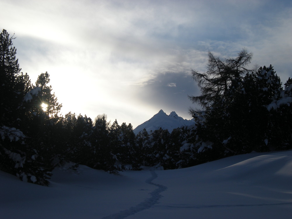 Ci si avvicina al bosco.. e il sole si nasconde..