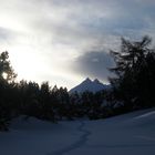 Ci si avvicina al bosco.. e il sole si nasconde..