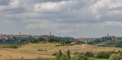 Ciao Siena! 