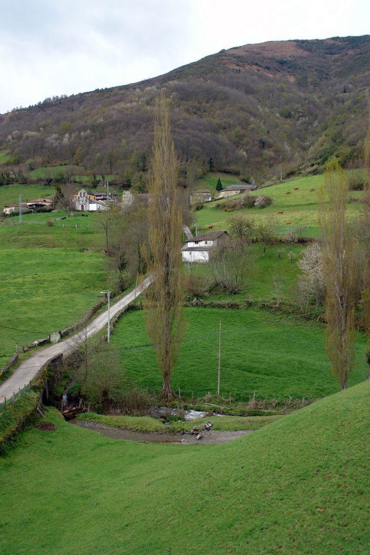 Cibea, Cangas del Narcea, Asturias, 2012