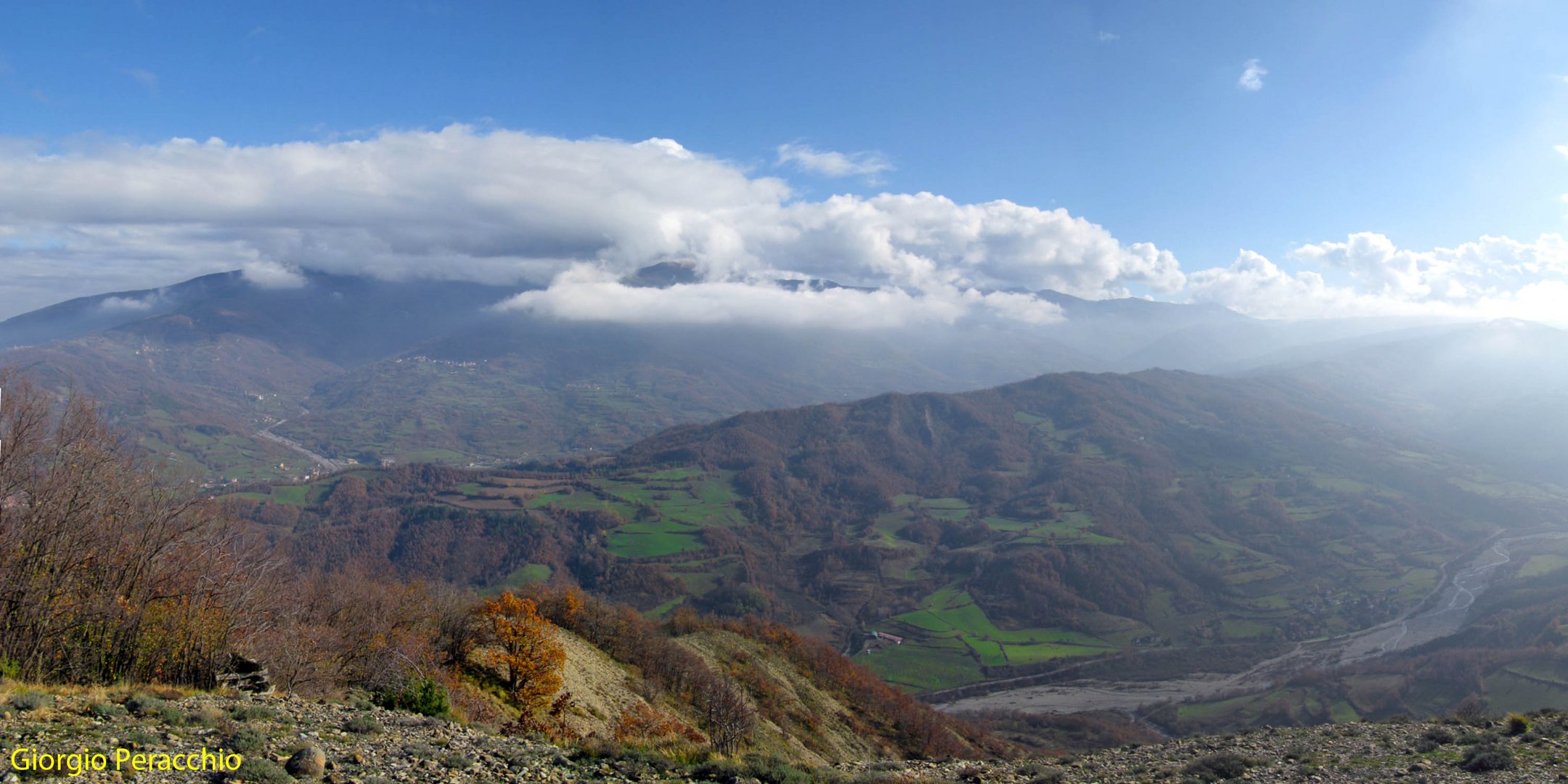 Cibo per la vista