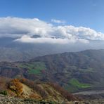 Cibo per la vista