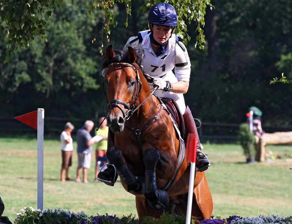 CIC* Bad Harzburg 2009