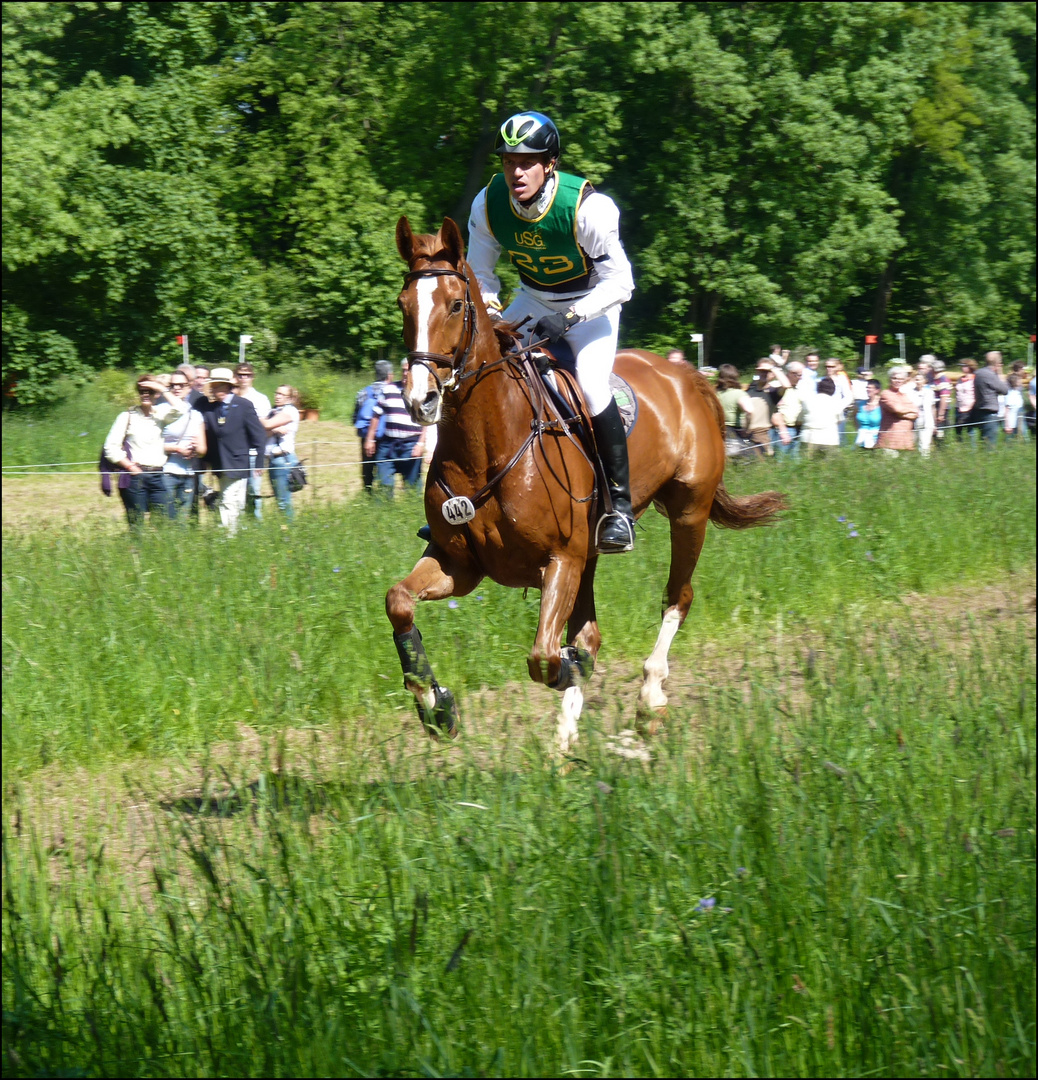 CIC*** Wiesbaden 2010