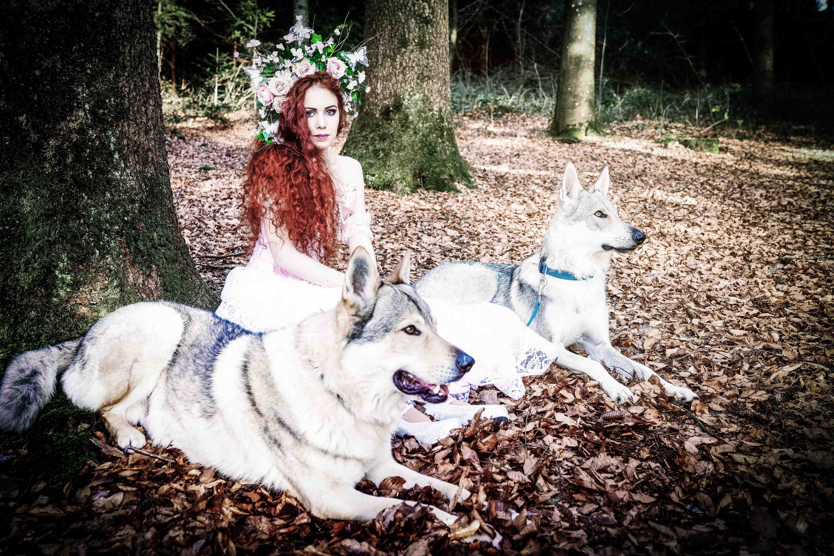 Cici with the wolves