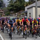 Ciclisti in gruppo