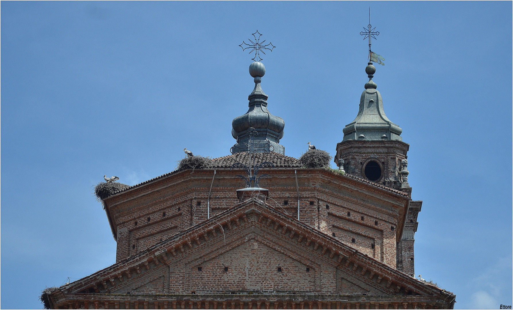 Cicogne a Racconigi