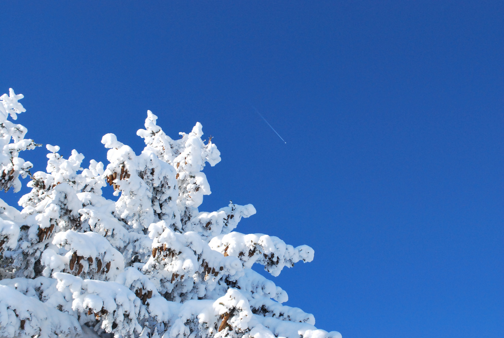 Cieil bleu en altitude(2)