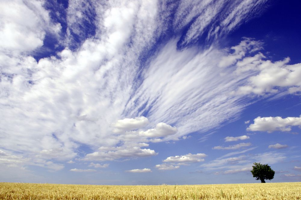 ciel de gugur 