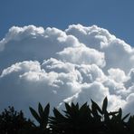 ciel bleu et chantilly