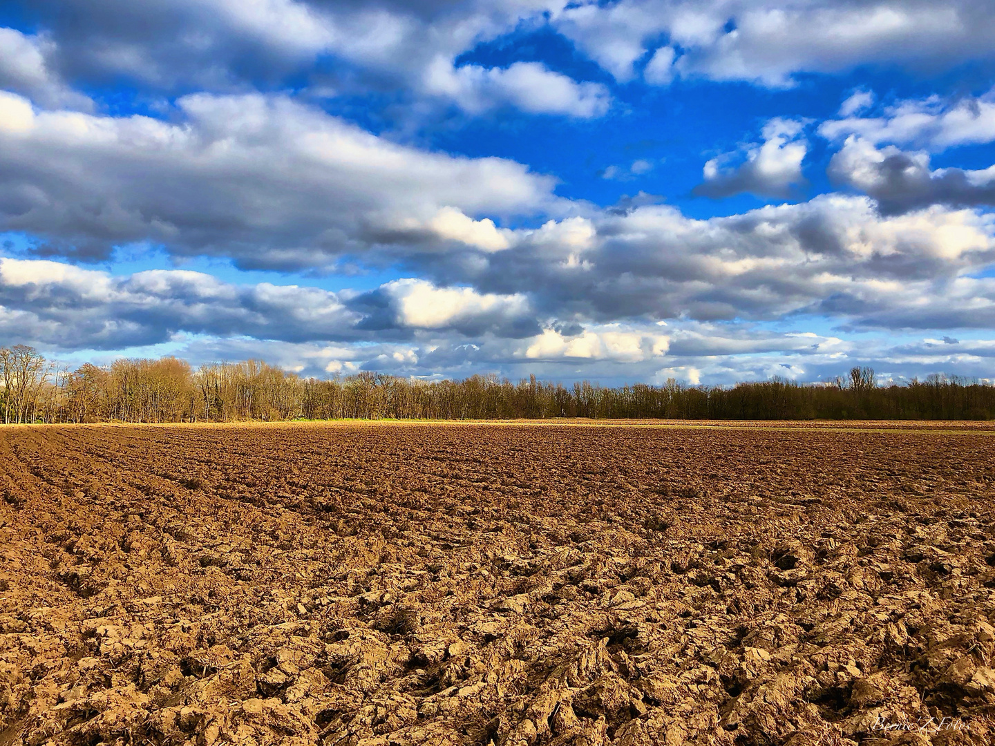 Ciel bleu sur la campagne