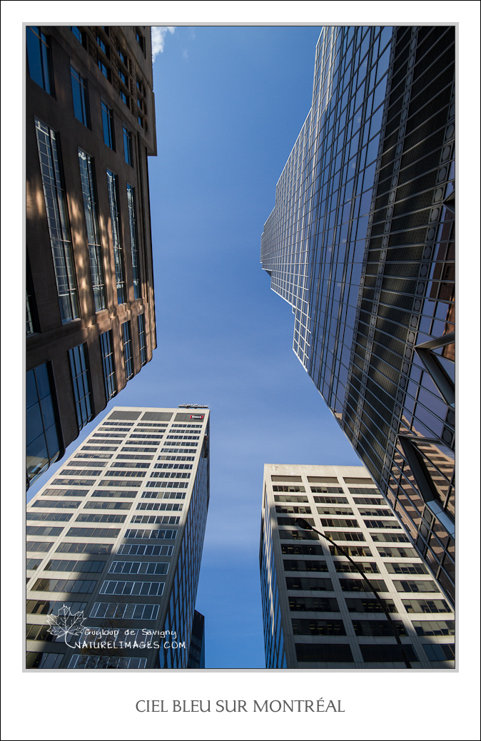 Ciel bleu sur Montréal centre-ville