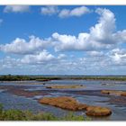 Ciel chargé sur le parc ornithologique du teich