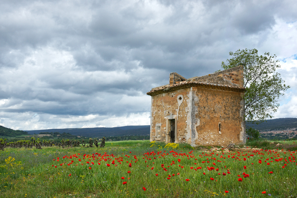 Ciel chargé sur le vignoble