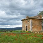 Ciel chargé sur le vignoble