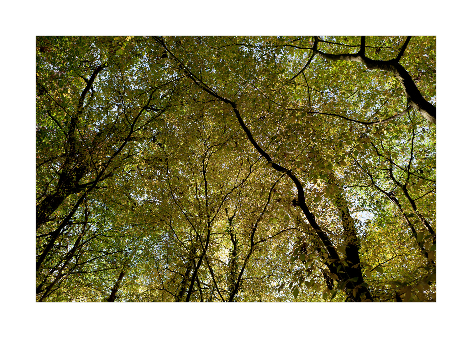 ciel d'automne