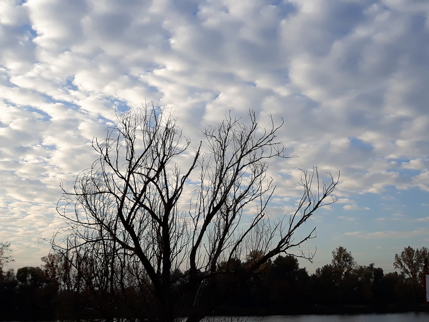 ciel d'automne 