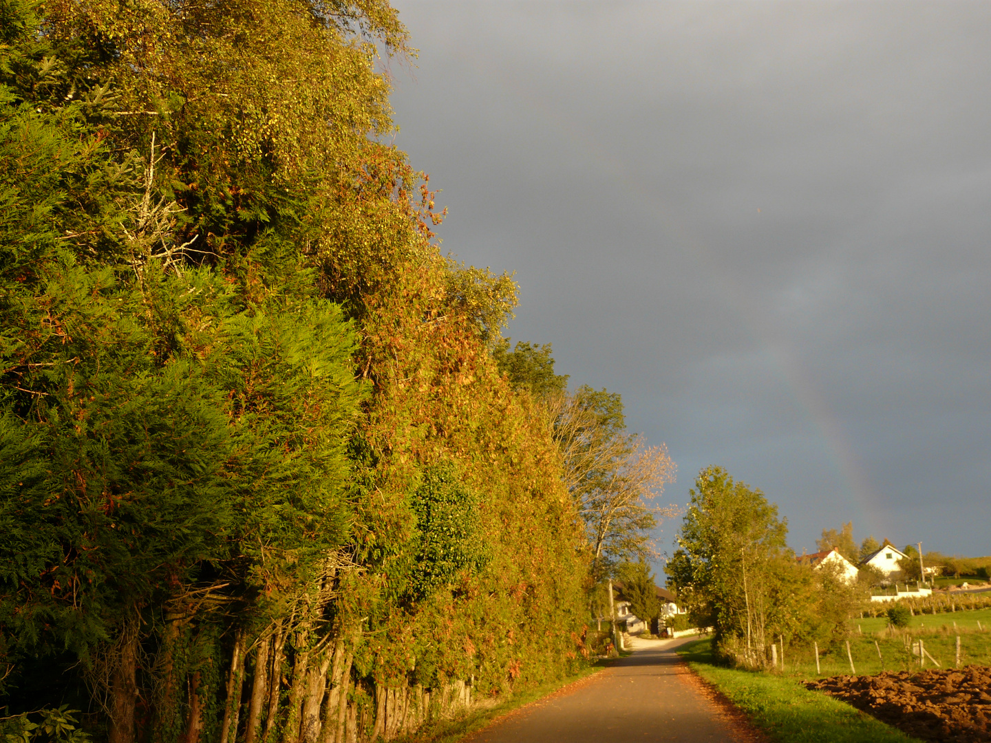 Ciel d'automne