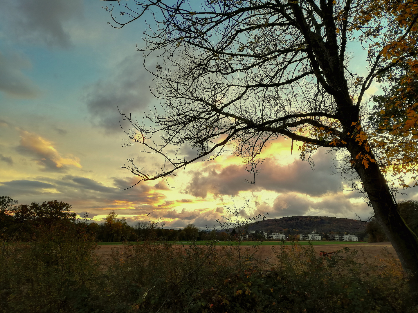 Ciel d'automne juste avant le coucher du soleil - Divonne-les-Bains (01 Ain - France)