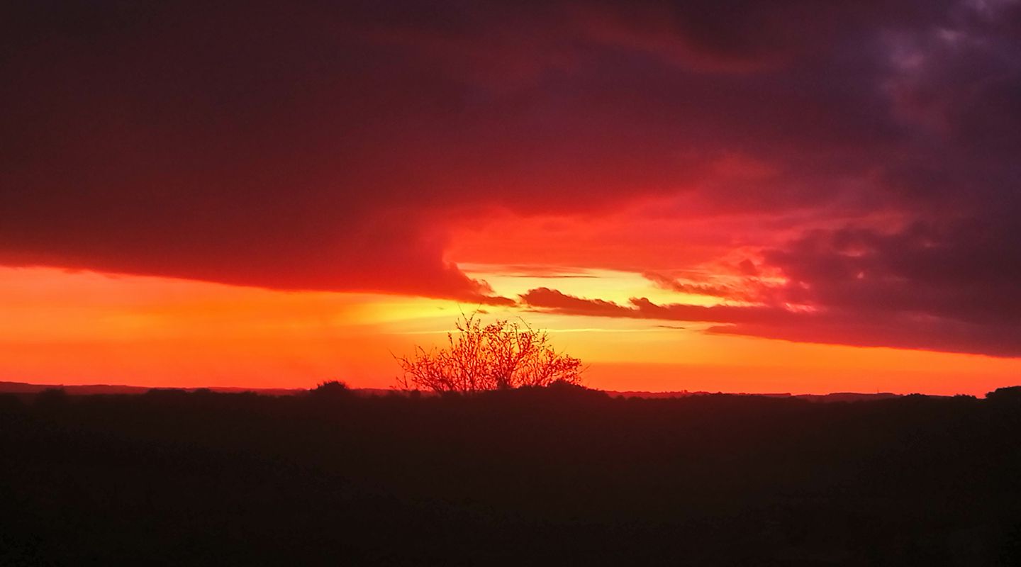 CIEL DE BRAISE