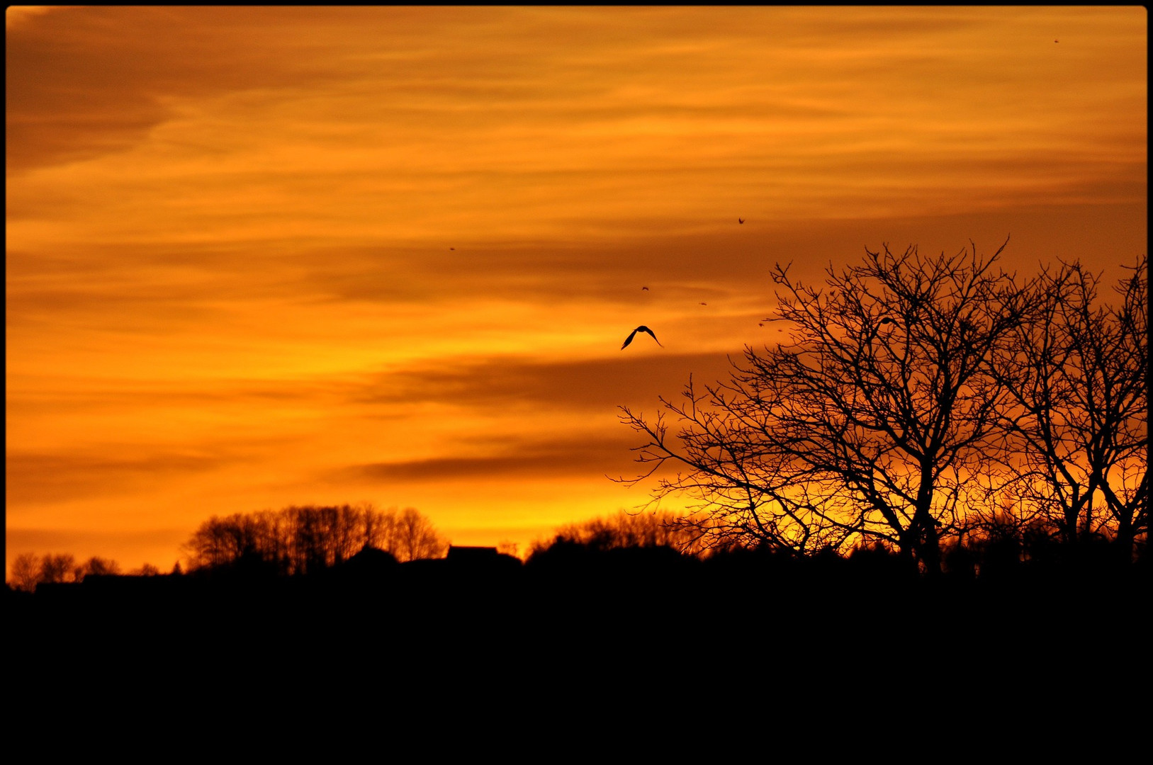 ciel de braise