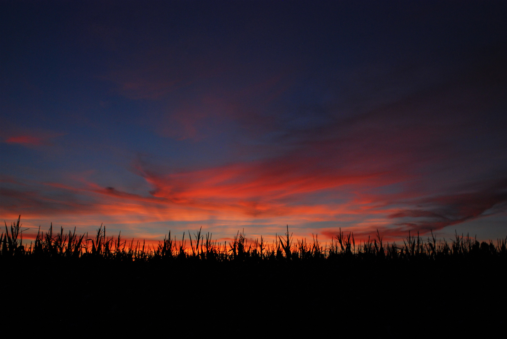 Ciel de feu 