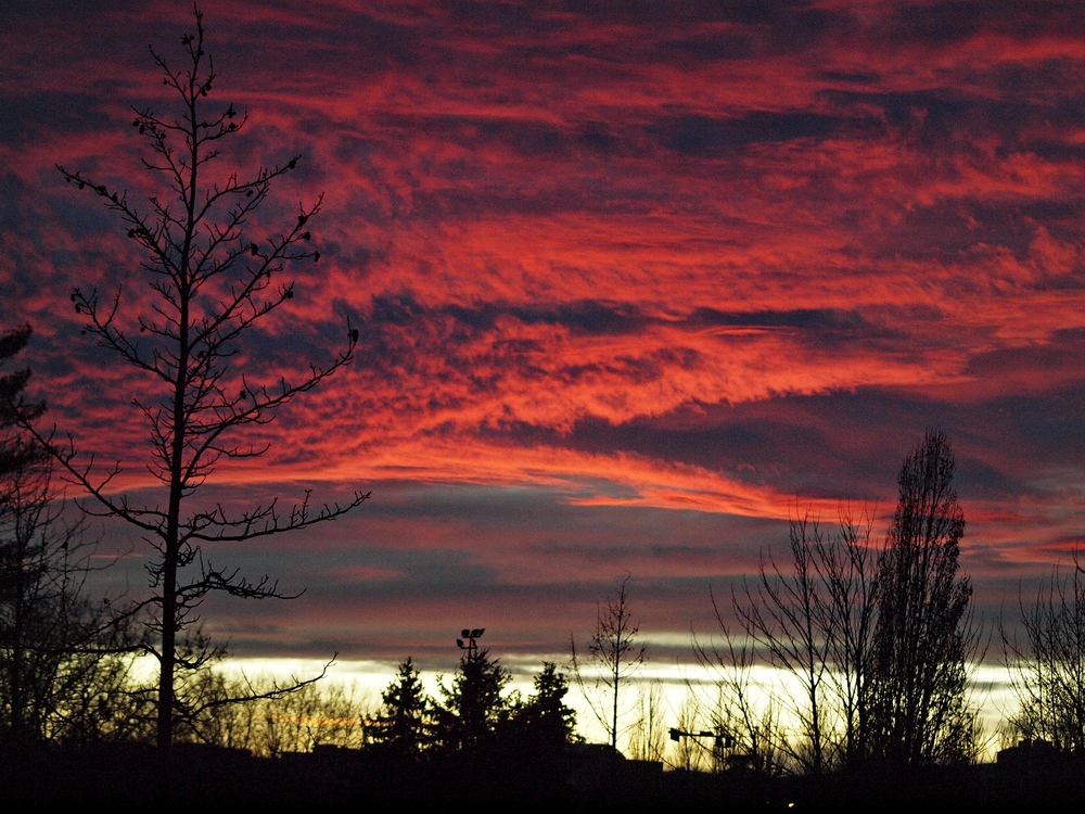 Ciel de feu