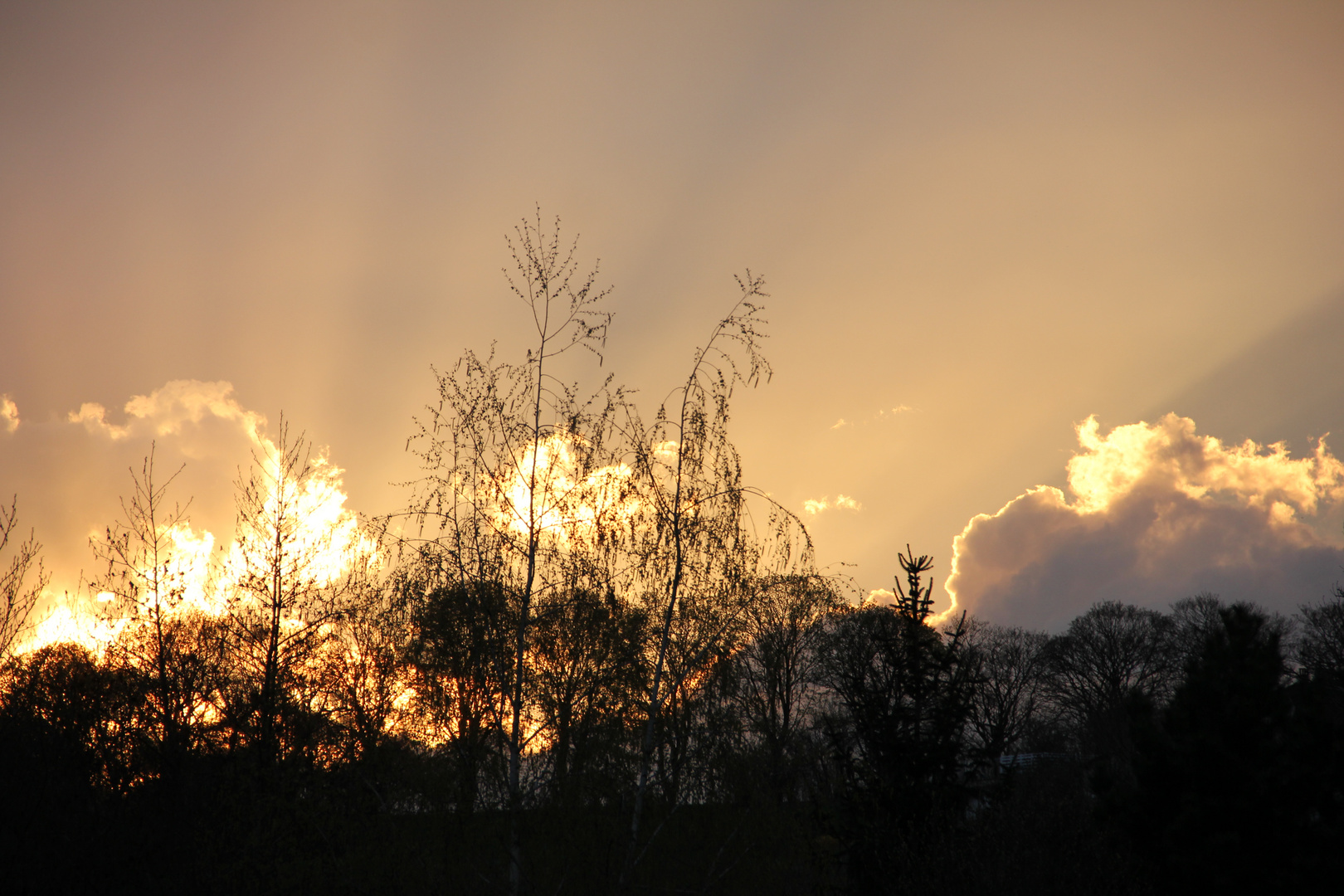 Ciel de feu