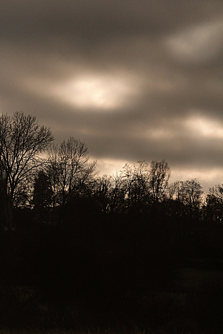 Ciel de nuit