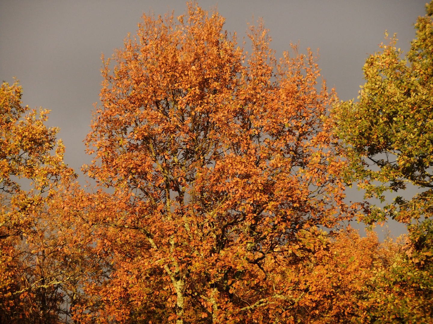 ciel de plomb