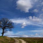 Ciel de printemps