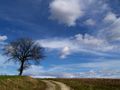 FR: Ciel de printemps von Laureanne 