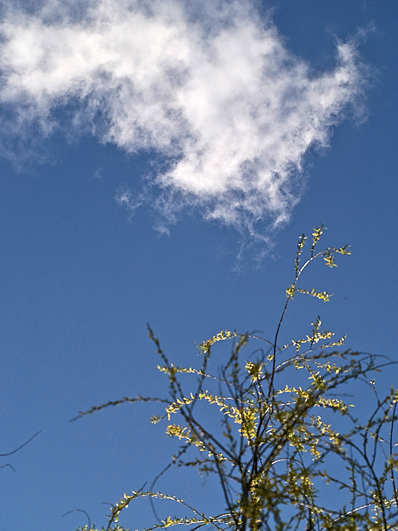 Ciel de printemps