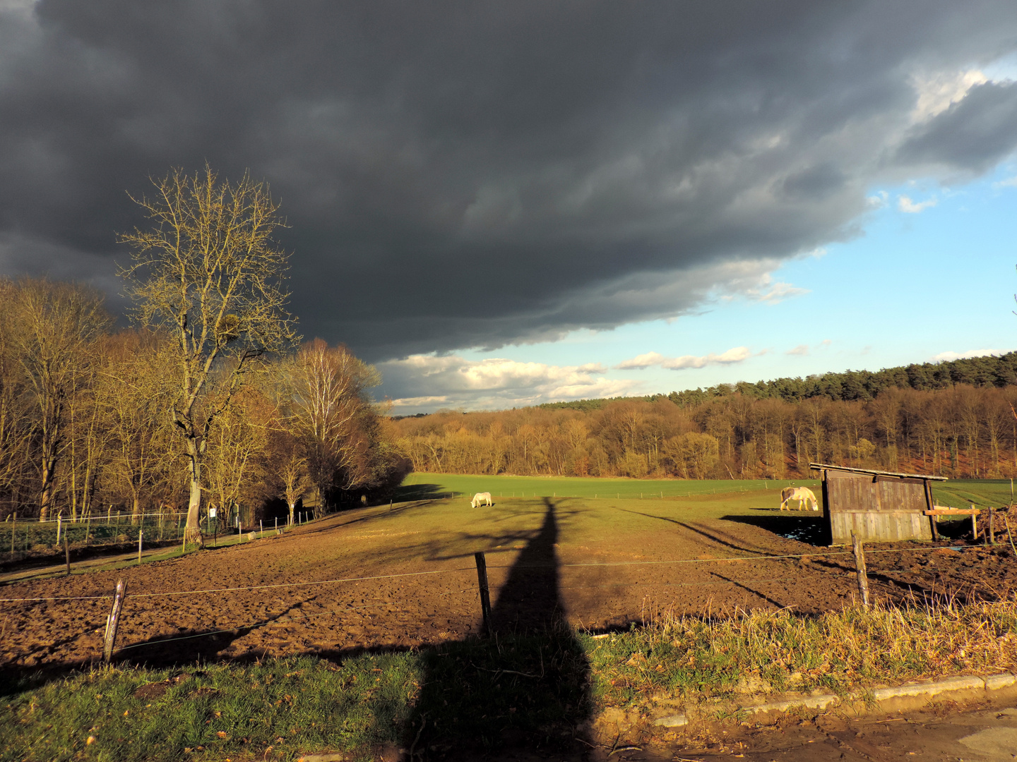 Ciel d'orage