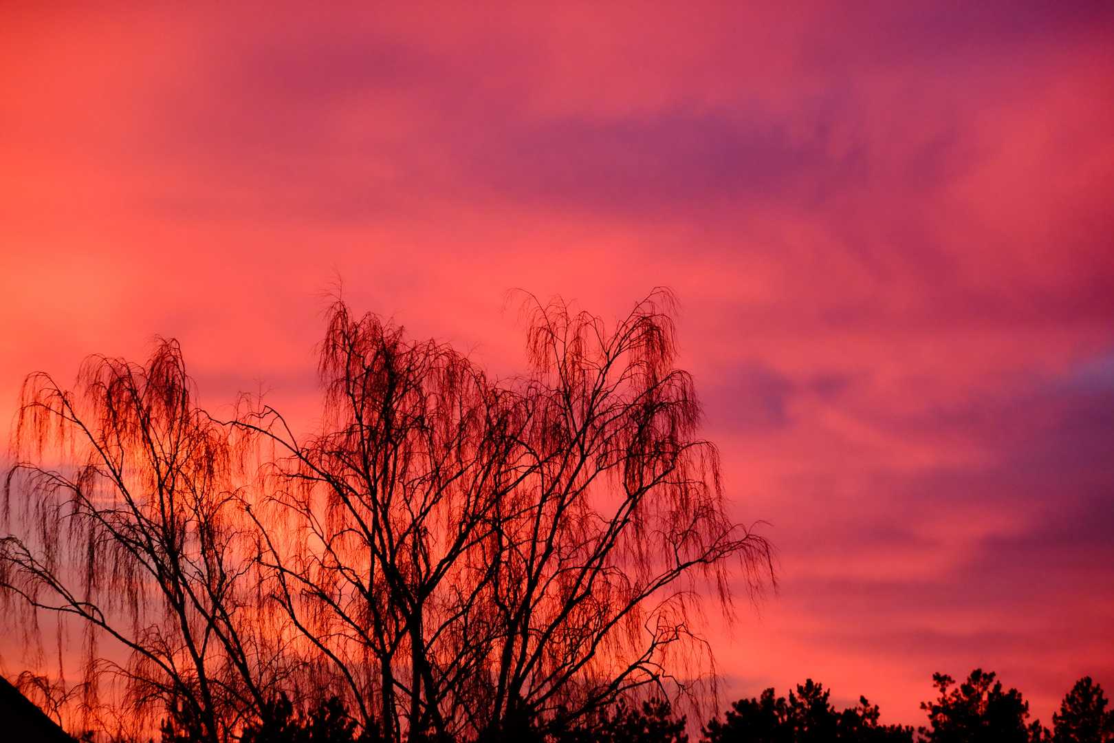 ciel du peintre  sur Saumur 