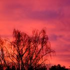 ciel du peintre  sur Saumur 