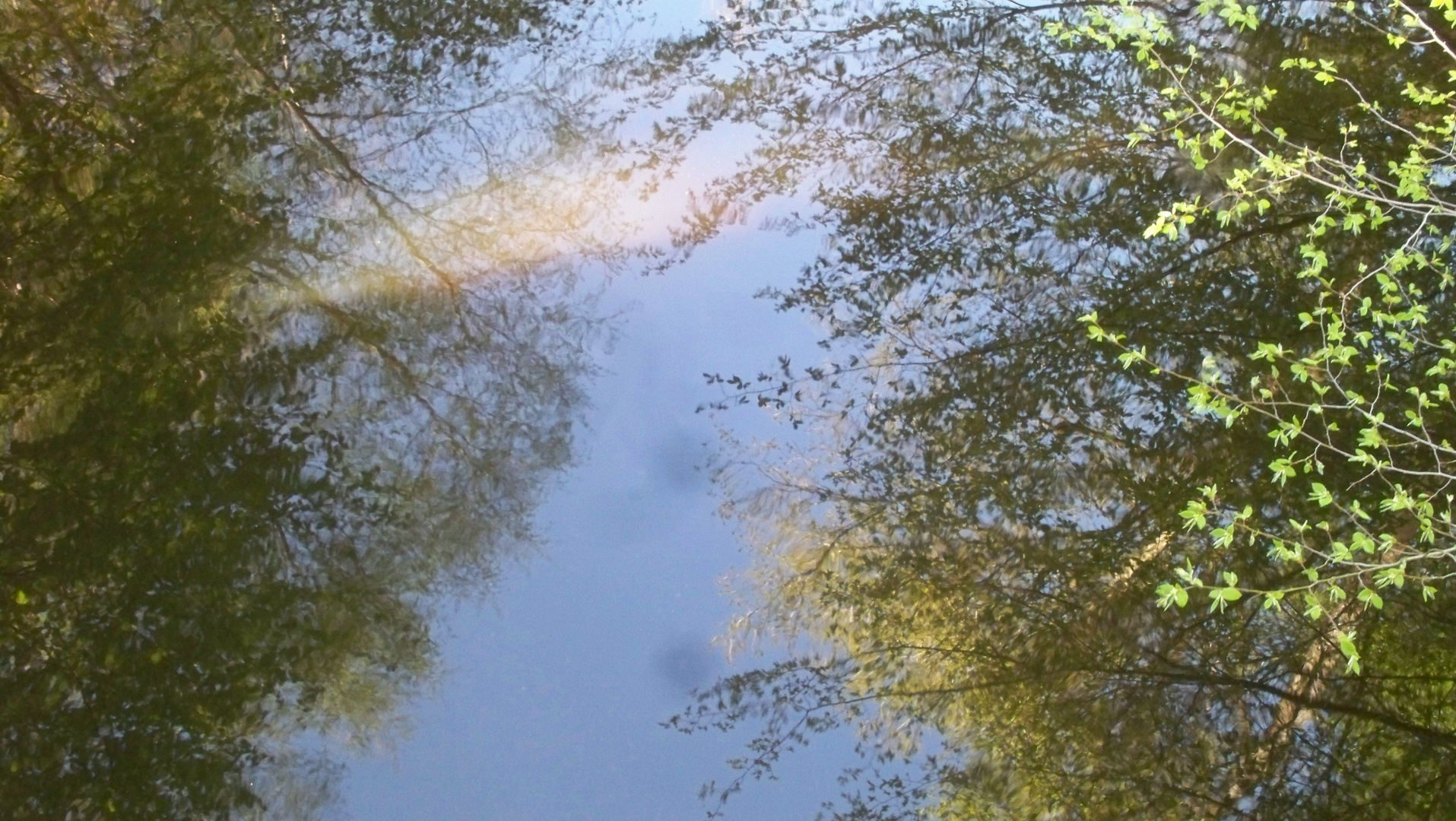 Ciel Eau Arbres sous le soleil