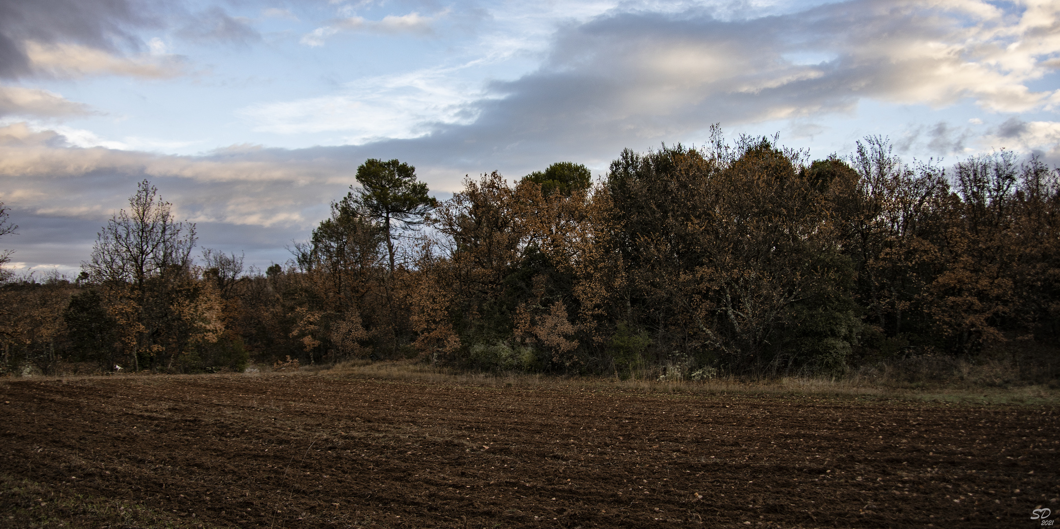 Ciel et Couleurs de l'hiver  (4)