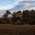 Ciel et Couleurs de l'hiver  (4)