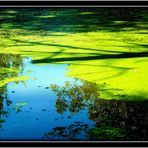 CIEL ET LENTILLES D'EAU