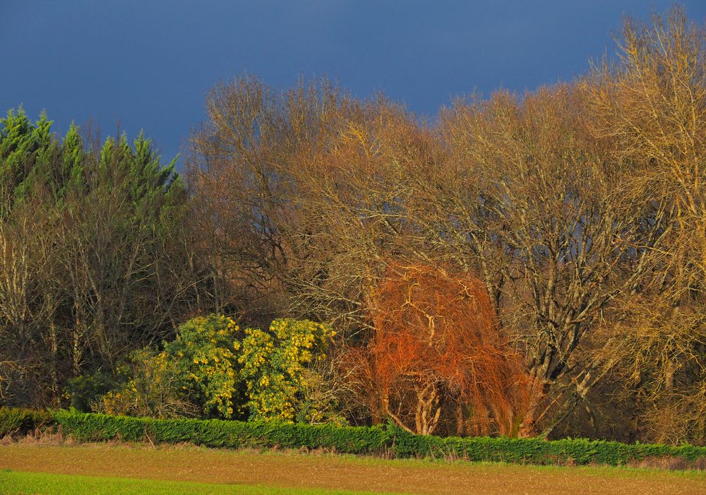 Ciel menaçant sous le soleil