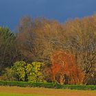 Ciel menaçant sous le soleil