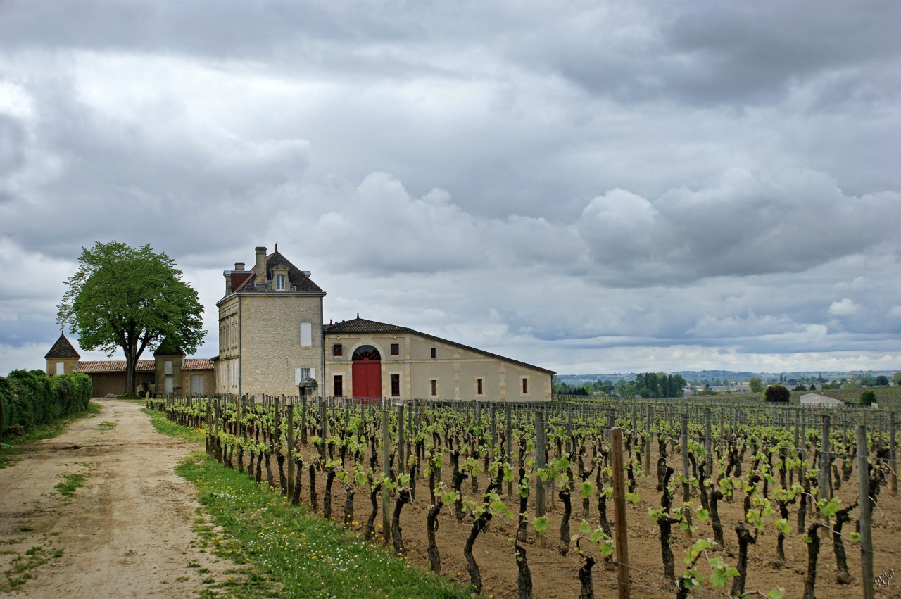 Ciel menaçant sur le vignoble