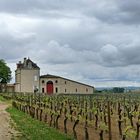 Ciel menaçant sur le vignoble